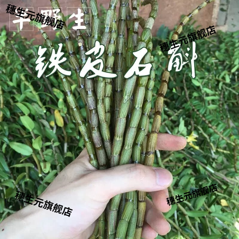 新鲜铁皮石斛条500g乐清雁
