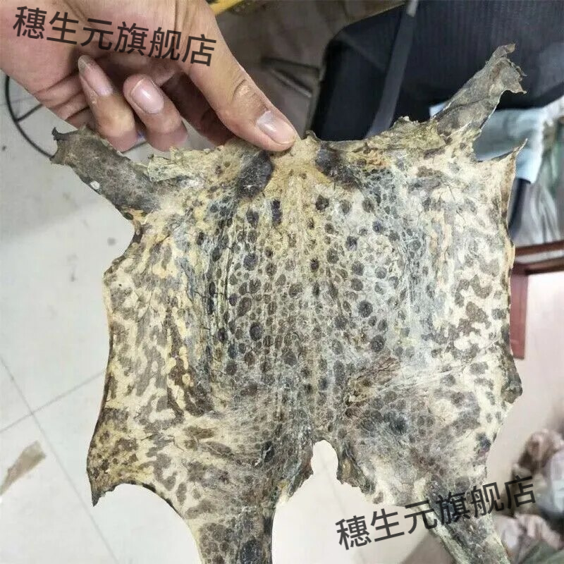 蟾蜍衣干癞蛤蟆皮中药材