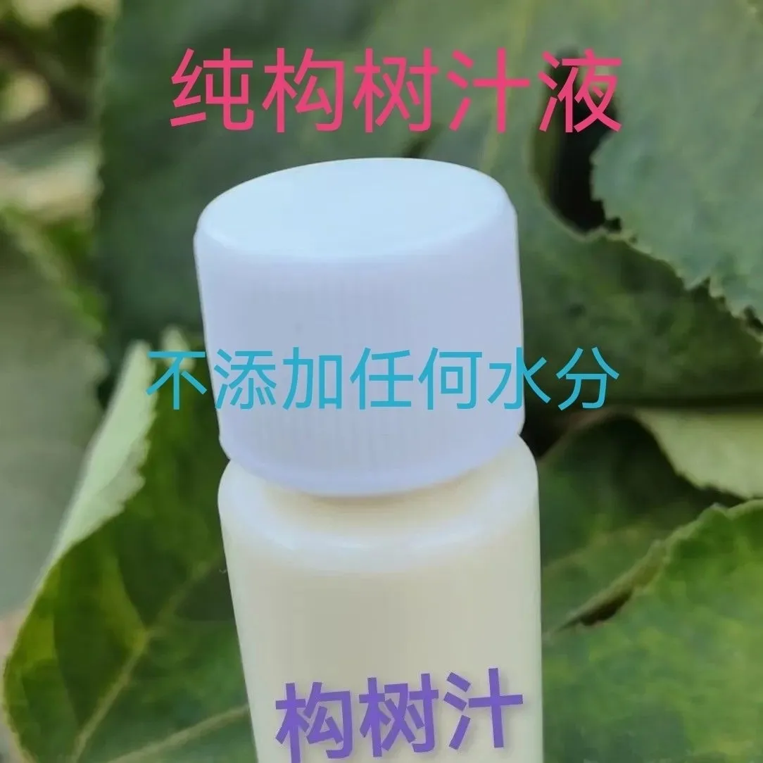 构树汁液牛皮癣假梅子角阔