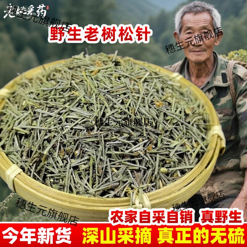 云南野生松针茶马尾深山材