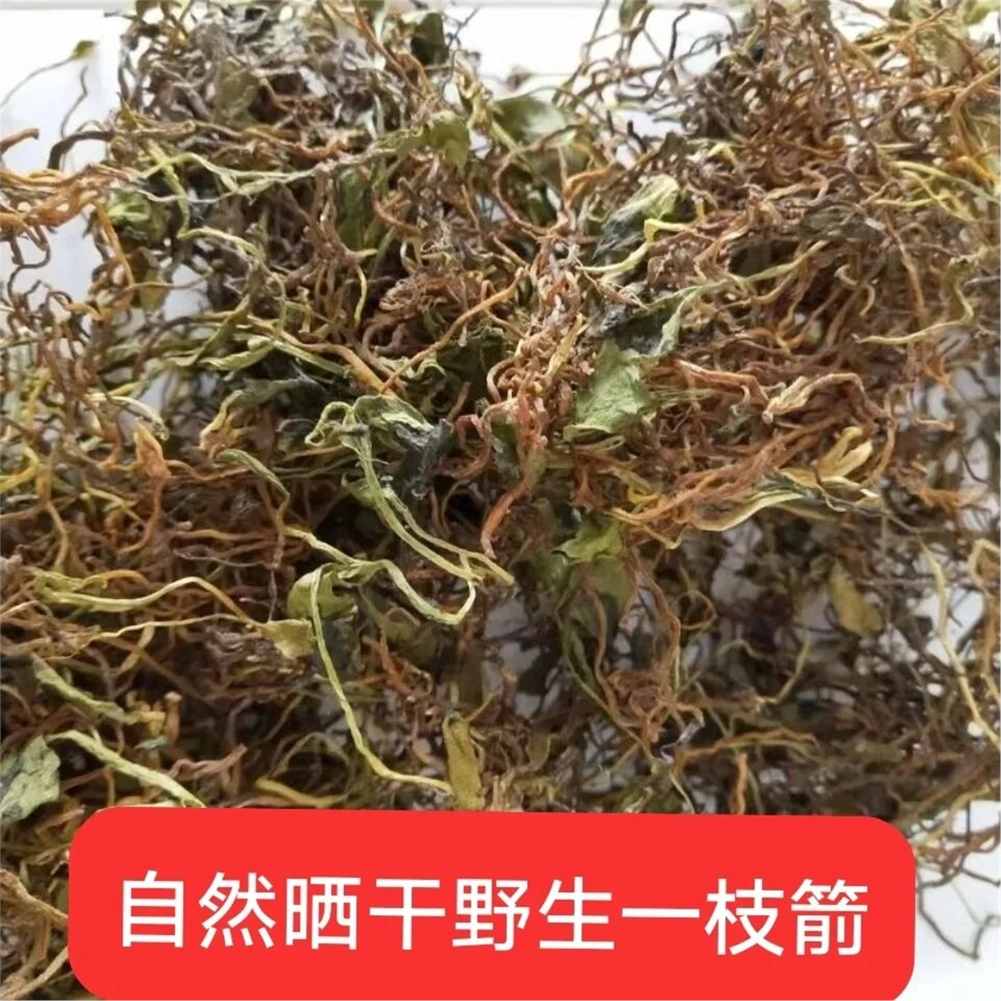 干一支箭野生枝自然晒蛇舌