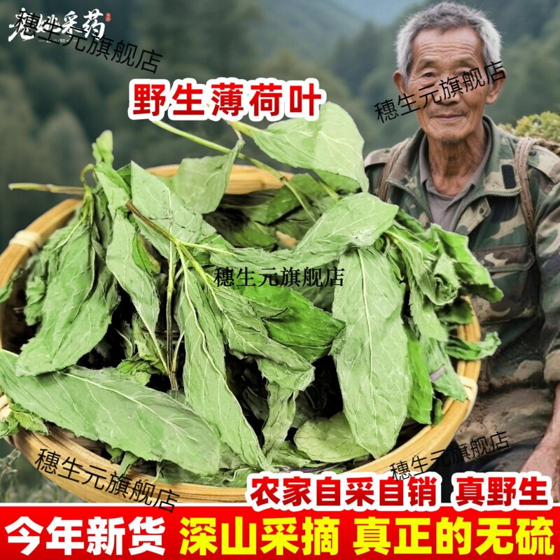 薄荷叶材新货无硫干泡茶水