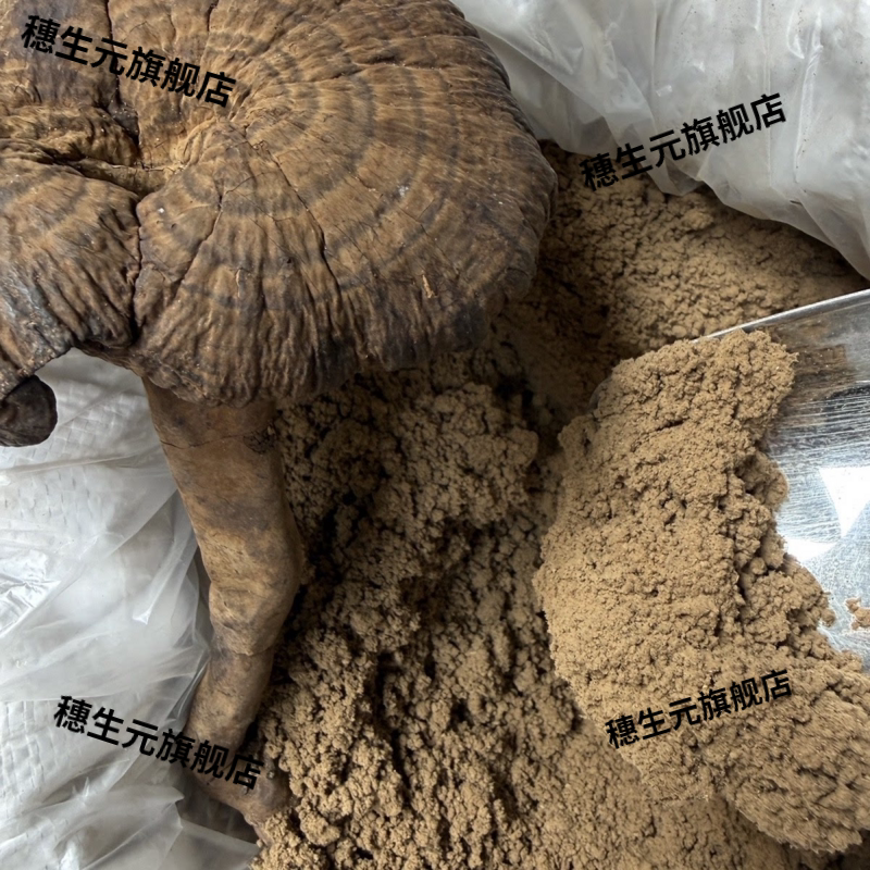 野生深山乌芝血灵芝粉