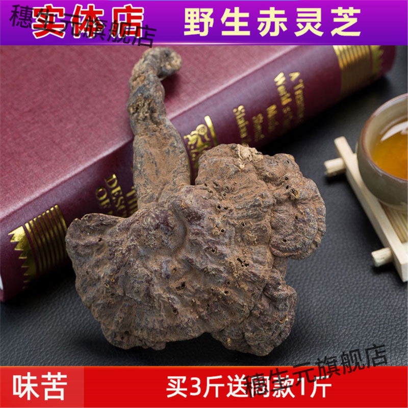野生灵芝深山纯赤天然草