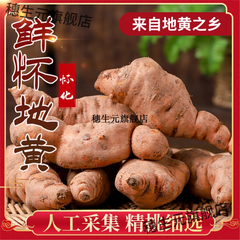 鲜生地2500克焦作怀黄新髓