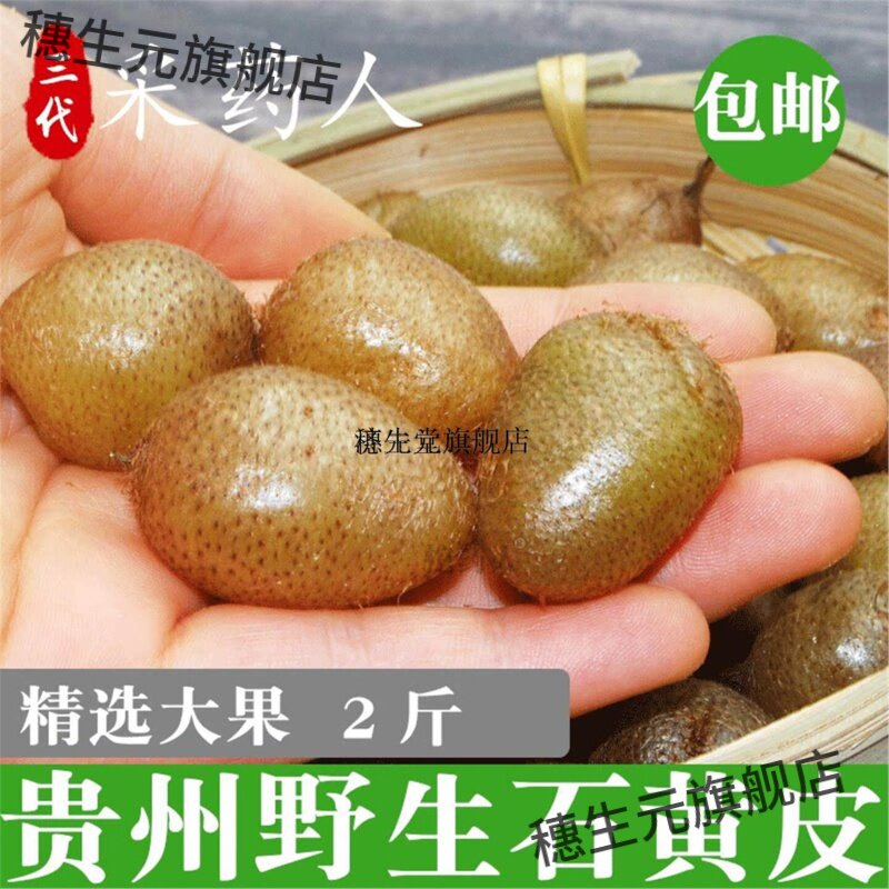 贵州野生石黄皮肾蕨果化狗