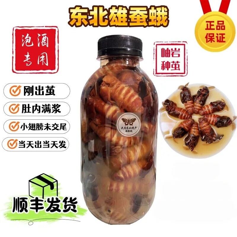 辽宁岫岩正宗雄蚕蛾公蛾泡酒料