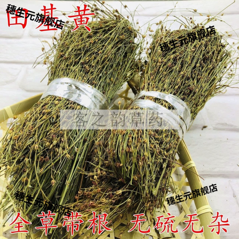 野生田基黄地耳草整株干品包邮