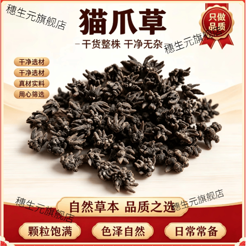 特级真的猫爪草野生猫爪草正宗正品干货水洗无硫新鲜猫抓草中小个