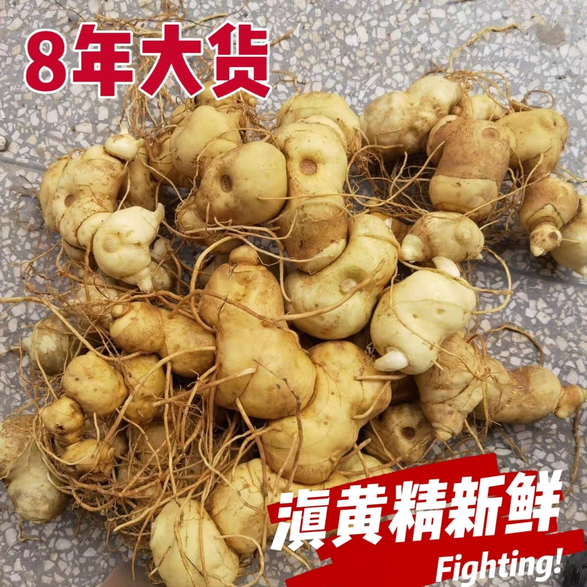 贵州大山野生黄精新鲜泡酒煲汤