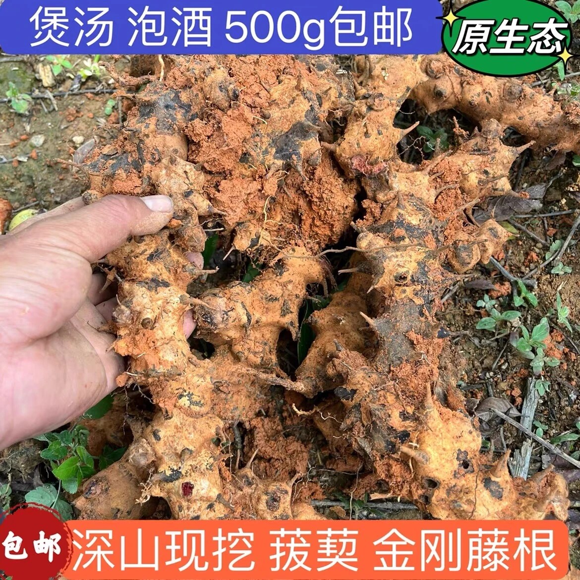 新鲜现挖材野生金刚藤泡酒