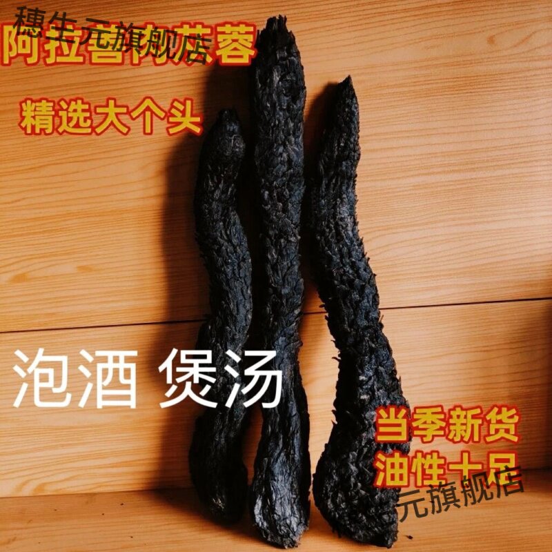 肉苁蓉材阿拉善整根油锁阳