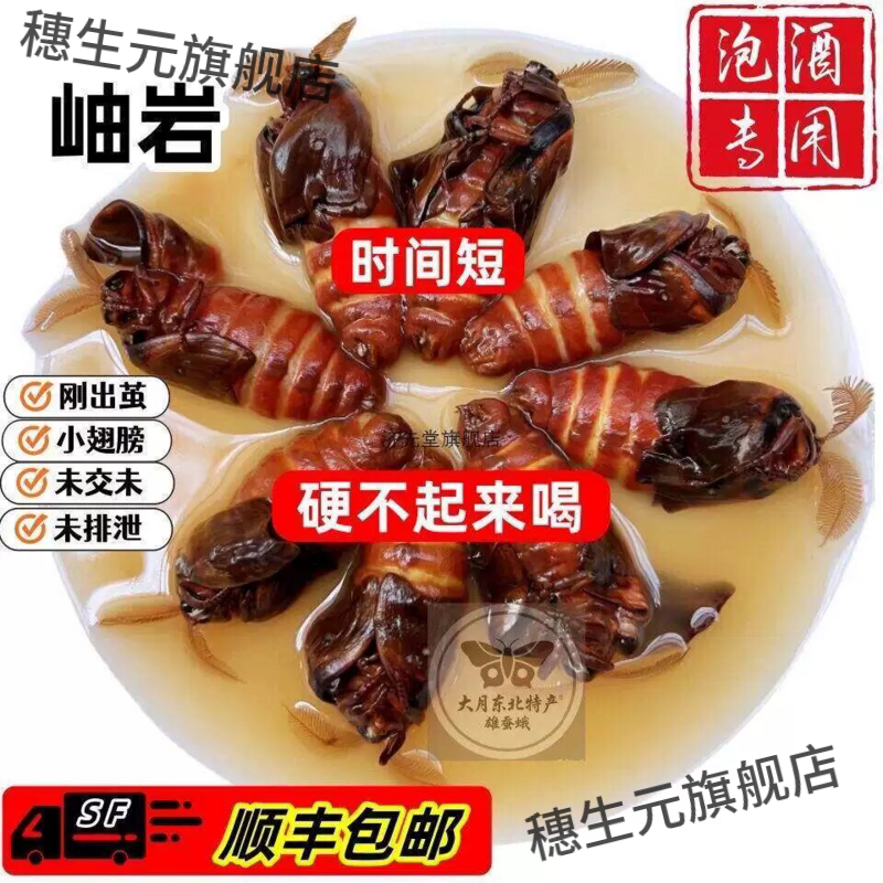 东北雄蚕蛾养生滋补未交尾
