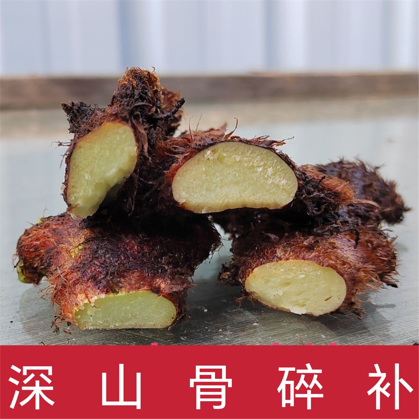 贵州深山新鲜骨碎补爬岩