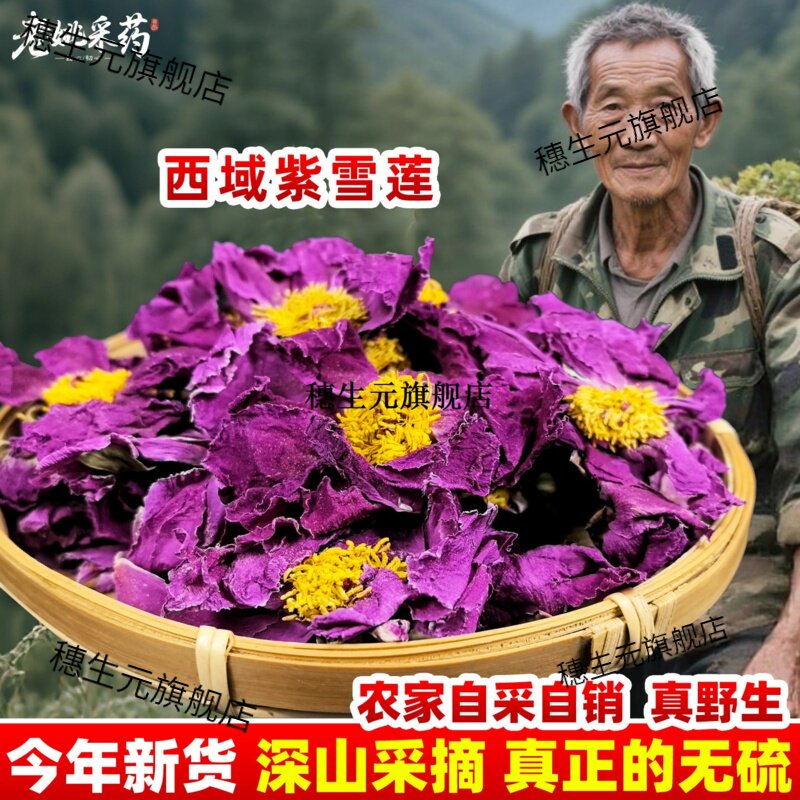 西域紫莲花日月绵雪九品