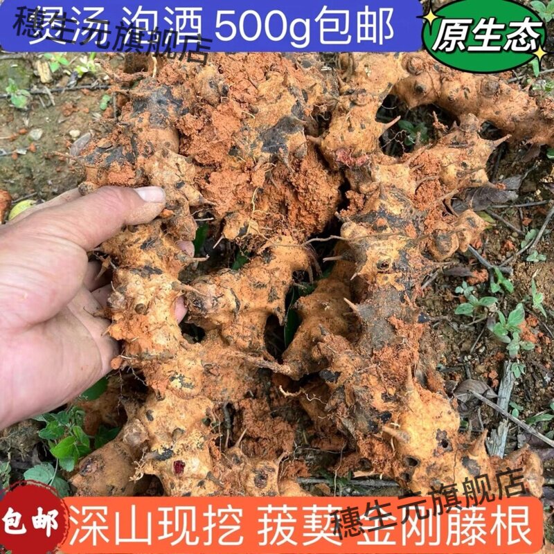 新鲜现挖材野生金刚藤泡酒