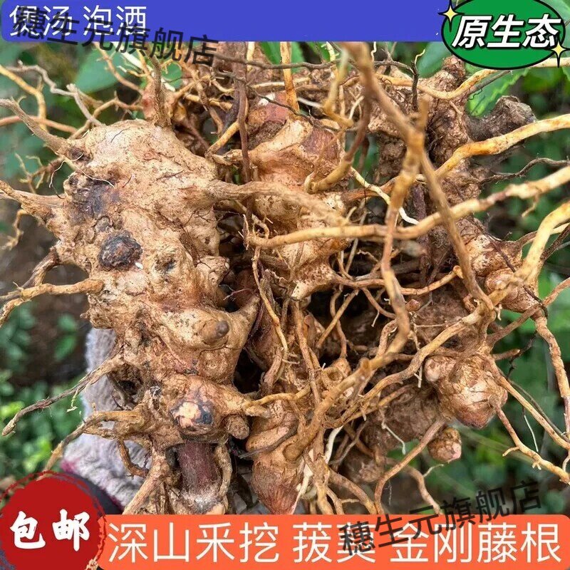 野生现挖金刚藤根煲汤泡酒
