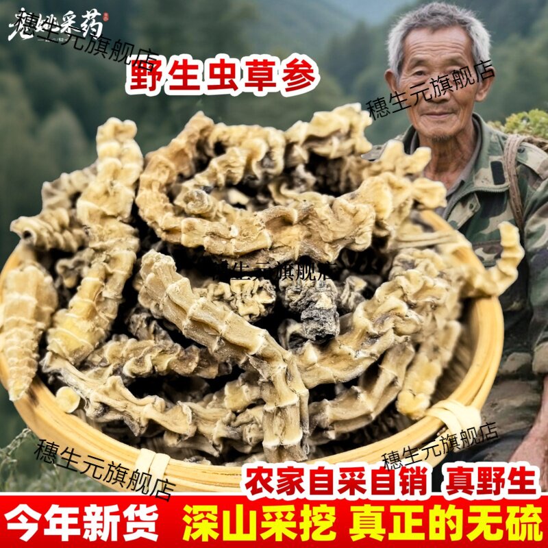 云南虫草参天王地顶柱竹