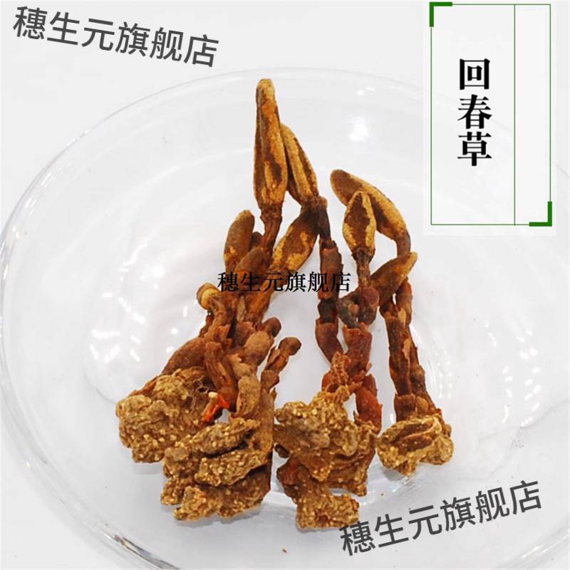 贵州野生回春草500g新货不