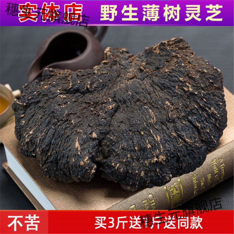 纯野生灵芝薄盖云南深山