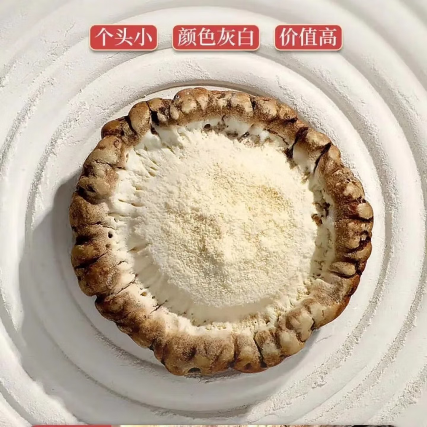 鹿角帽托盘梅花整个不打粉