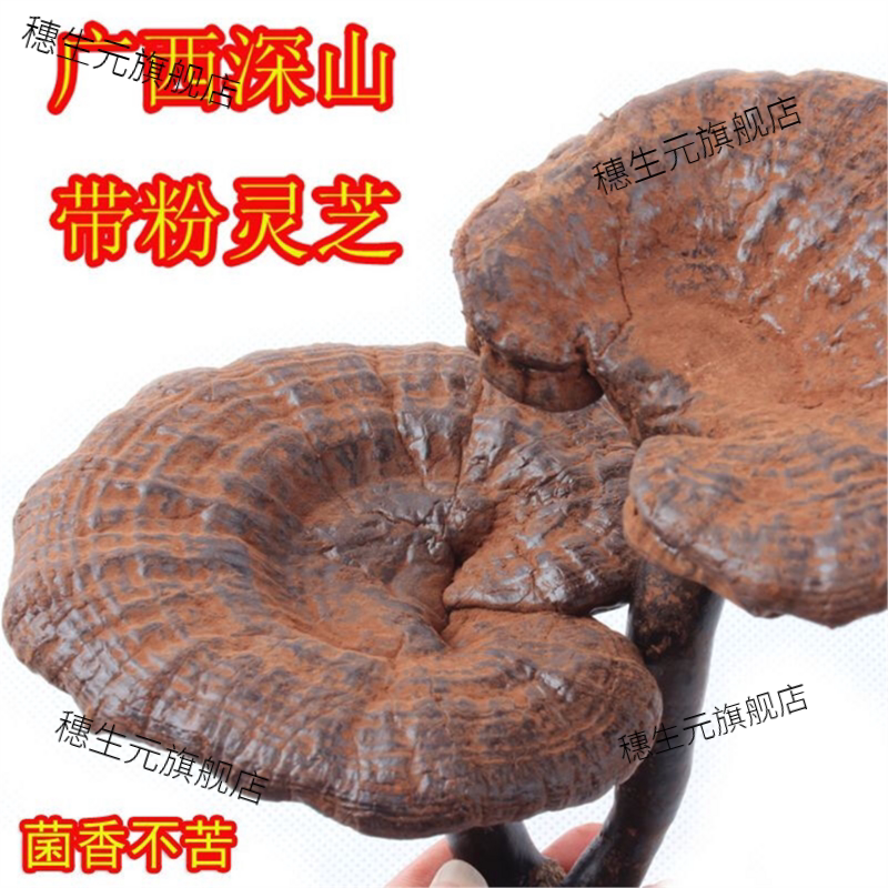 广西十万大山野生黑灵芝煲汤