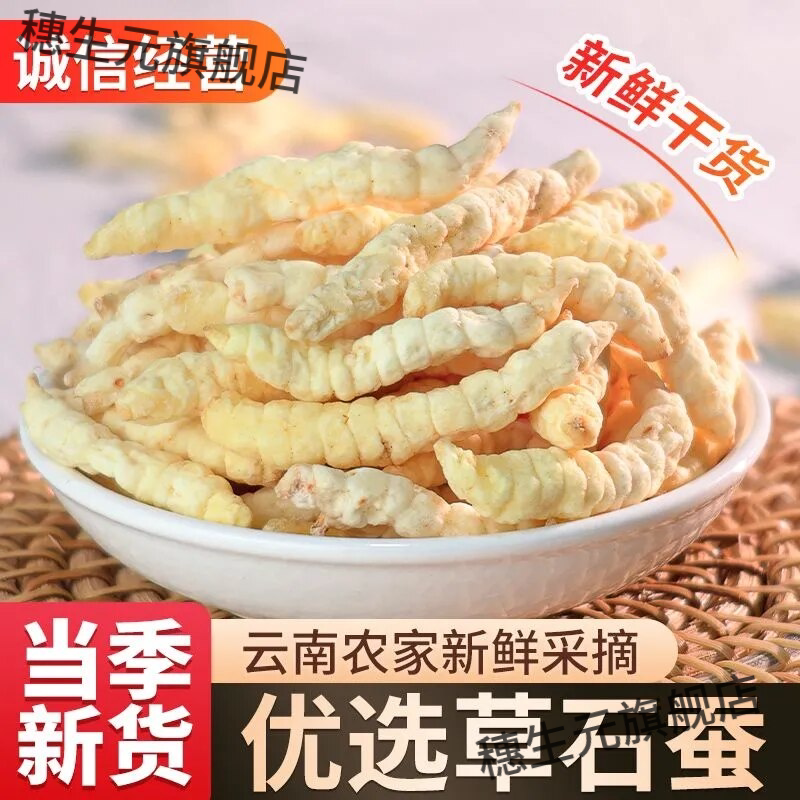 新鲜白虫草石蚕地蚕正品花草茶