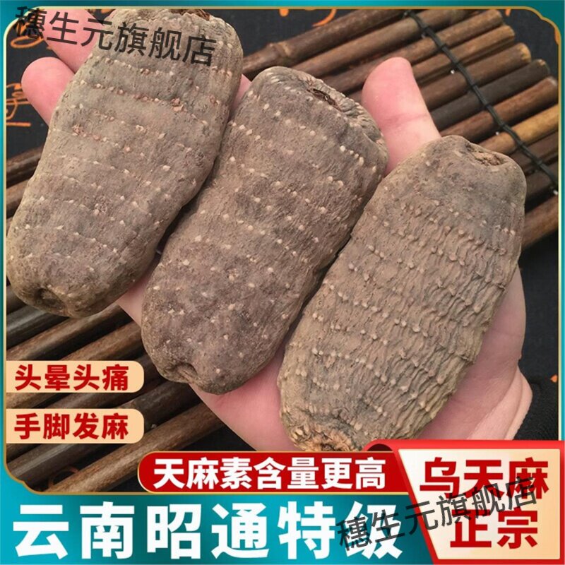 乌天麻云南昭通小草坝黑非