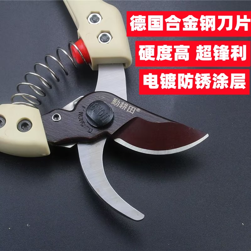 不锈钢130S修枝剪剪树枝专用剪刀园林果树剪家用花艺园艺剪枝剪子图片