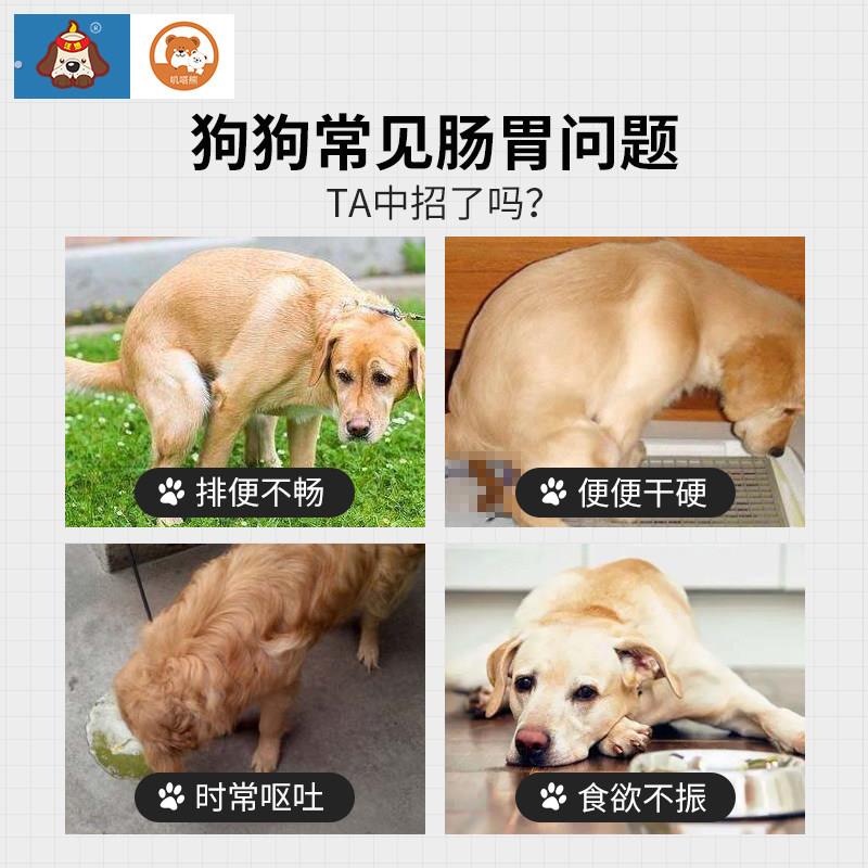 汪想汪素通-狗狗酵素菌不要狗狗便秘口臭便臭消化不好-狗狗益生菌