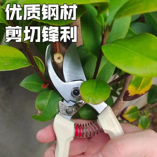原装爱丽斯宫本ABS130DX修枝剪园林剪果树剪果园用粗枝剪刀子