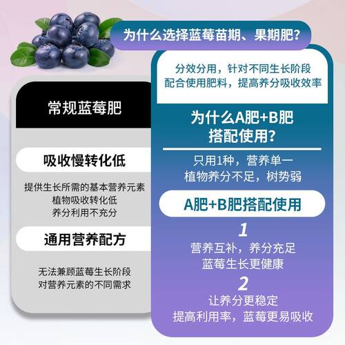 比利孚园艺蓝莓专用AB肥果期苗期肥料改善黄叶掉叶促生长水溶肥