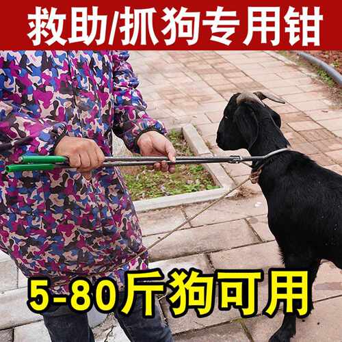 野猫专用夹子捉狗钳狗抓捕工具