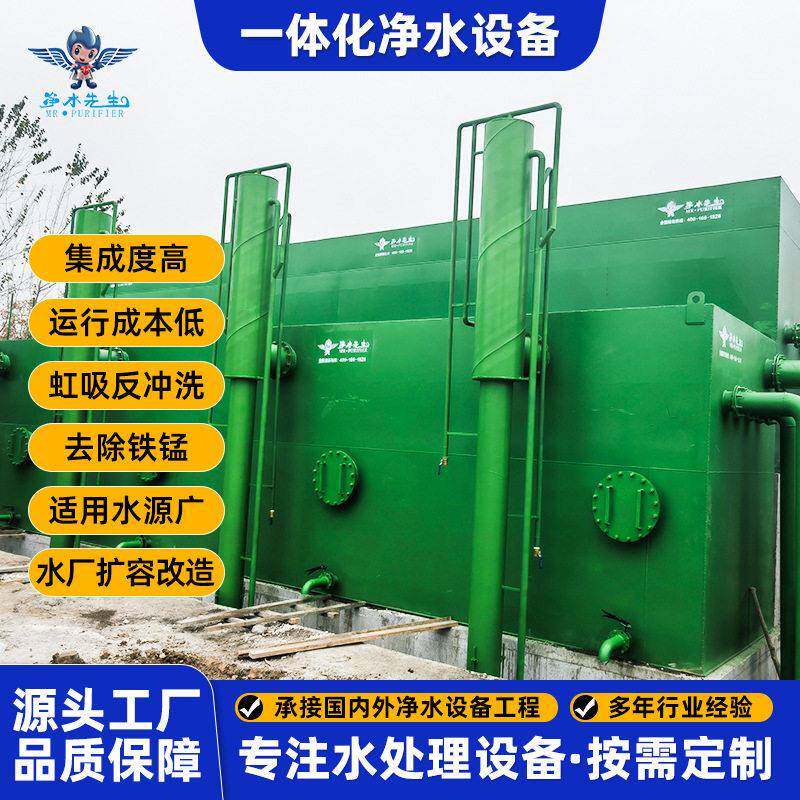 一体化净水设备人饮工程净水机器河水泉水井水自来水净化过滤装置