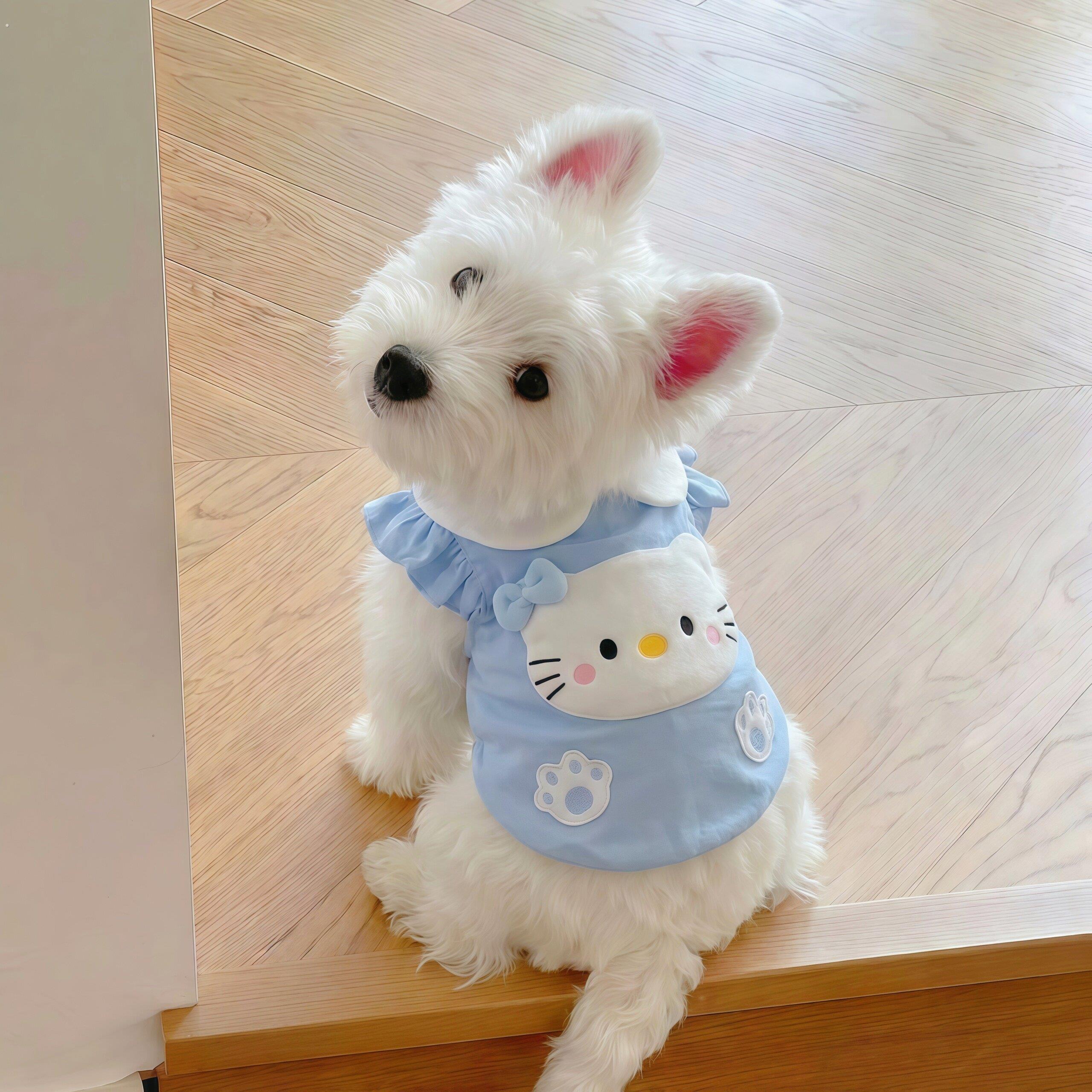 狗狗衣服凉凉衣小猫防掉毛薄款夏季背心小型犬西高地2026新款透气