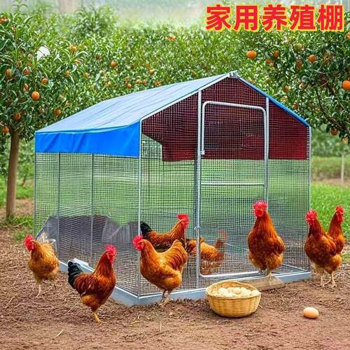 鸡笼子家用室外大号户外养鸡专用笼新型养鸡笼防雨农村鸡舍养鸡棚