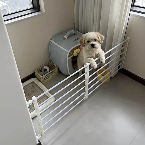 可伸缩狗狗栅栏宠物围栏室内家用隔离门挡中小型犬狗笼安全防护栏