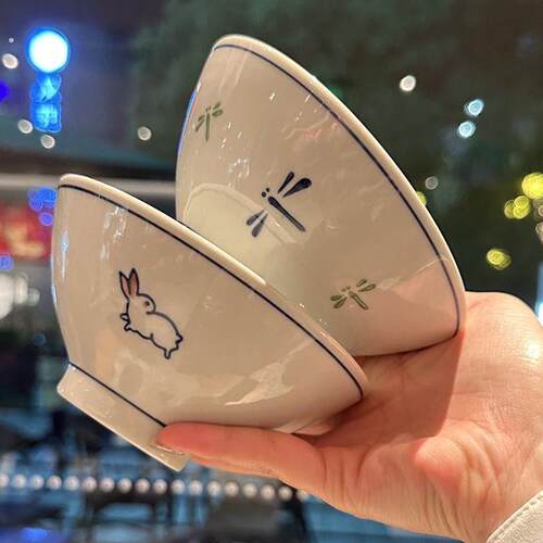 日式斗笠碗彩绘少女心怀旧简约可爱新款面碗日式饭敞口碗家兔子