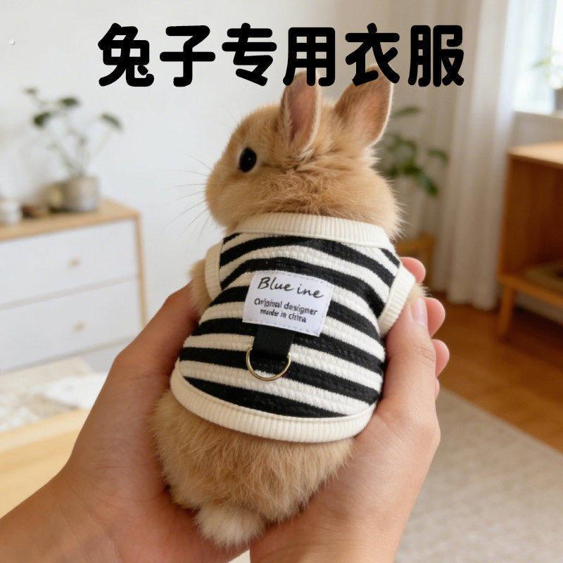 宠物兔子专用衣服春装牵引绳可爱侏儒兔透气装扮四季款小宠服饰