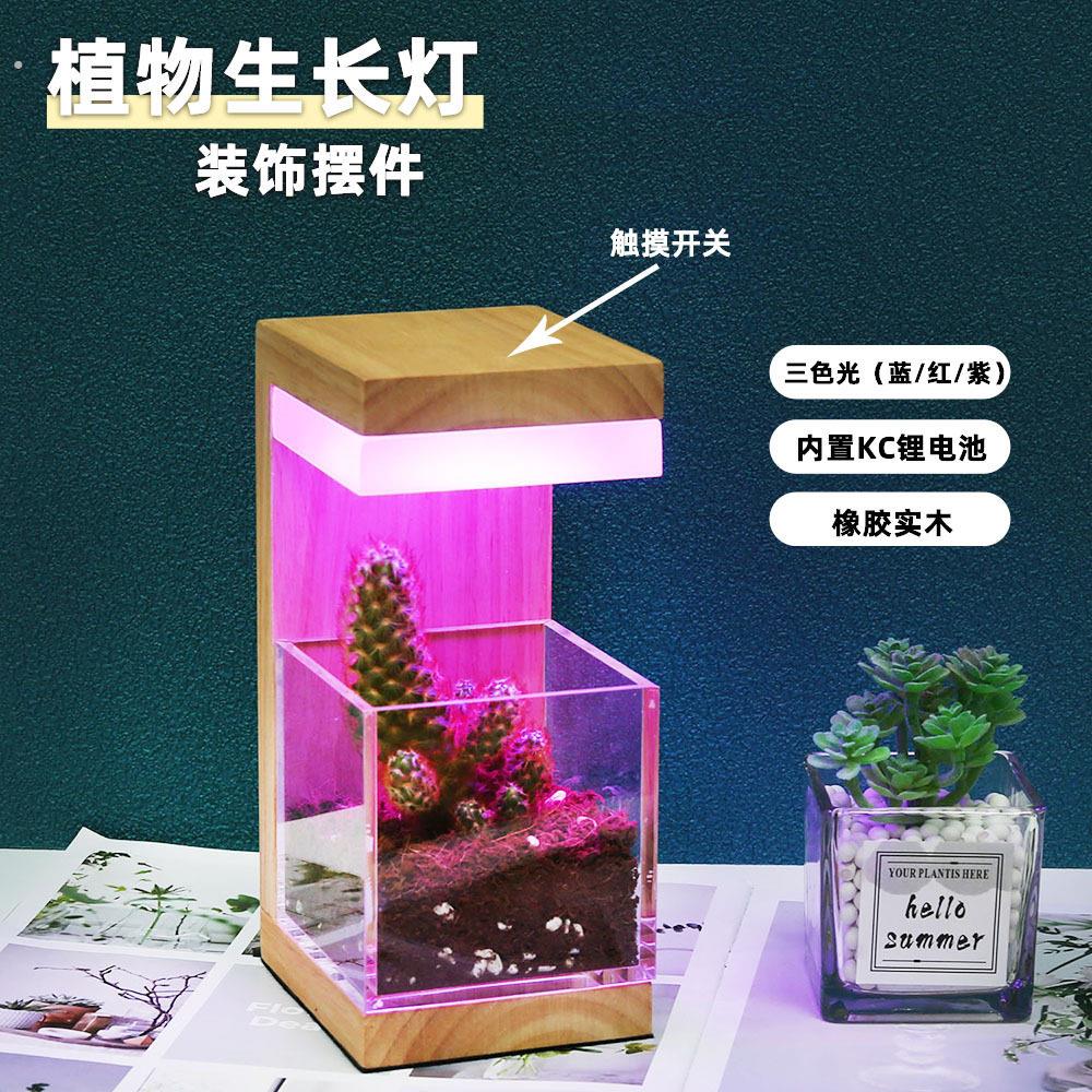 植物生长补光灯创意实木压克力蓝红紫光触摸带电装饰摆饰小夜灯