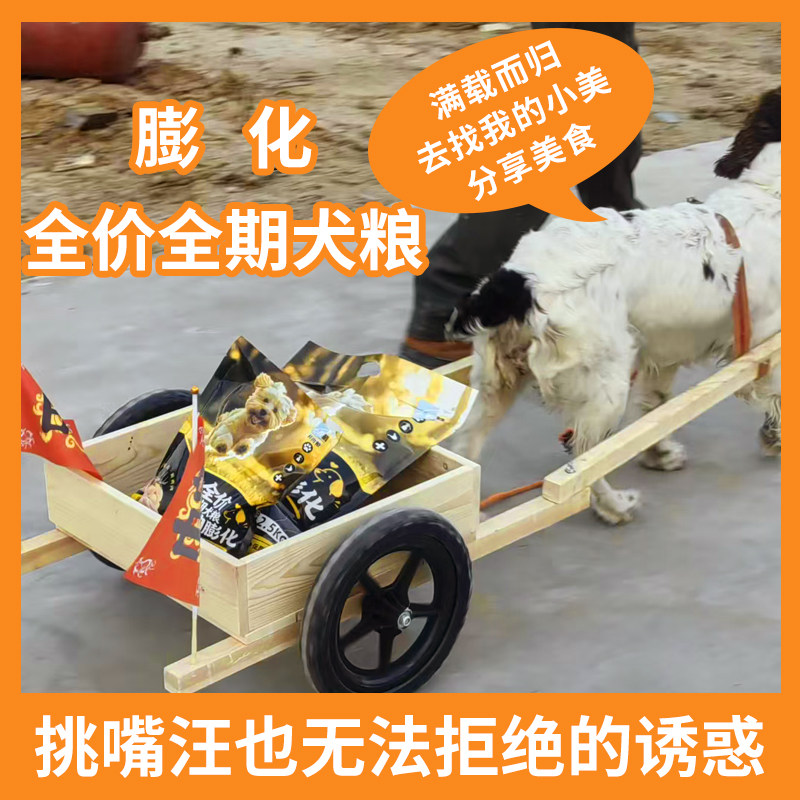 老年犬犬粮全价膨化鲜肉狗粮