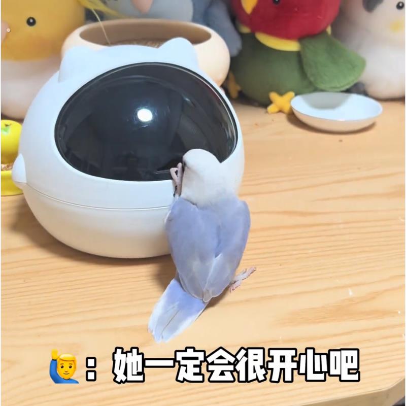 鹦鹉鸟窝四季通用创意垃圾桶高颜值桌面宠物繁殖窝下蛋牡丹睡觉窝