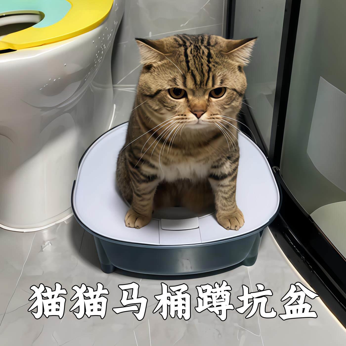 猫厕所训练器不用猫砂马桶蹲坑训练器训练猫咪自动上厕所易清洗