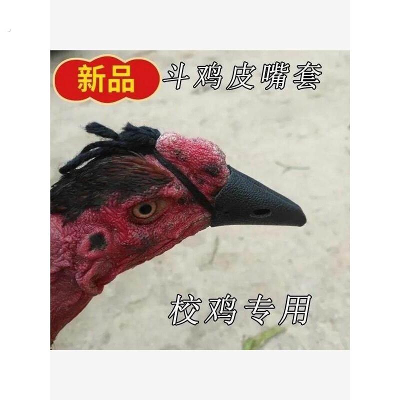 防止公鸡打鸣神器斗鸡用品皮嘴套训练;防叫神器。斗鸡嘴套。防叫