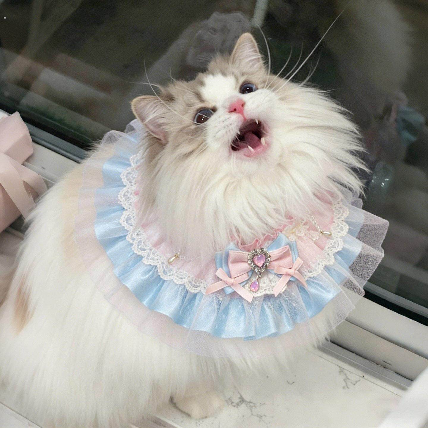 猫咪围脖宠物口水巾甜美公主风蝴蝶结围兜配饰布偶渐层拍照装饰品