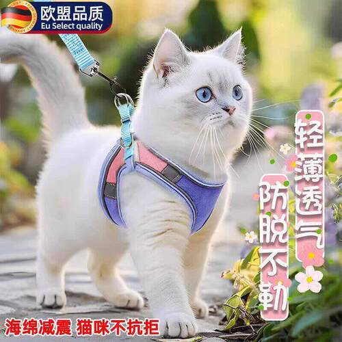 猫咪牵引绳防挣脱外出专用2025新款溜猫绳猫猫背带背心式胸背猫咪