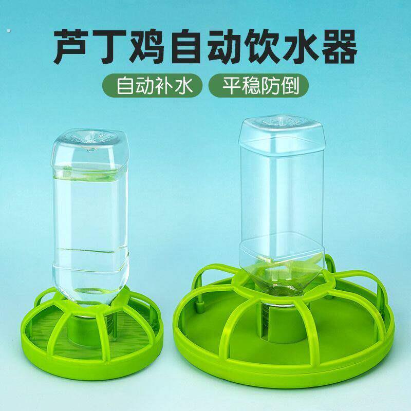 鹦鹉专用自动下料器饮水机喂食器芦丁鸡食盒水壶虎皮牡丹饲料盒