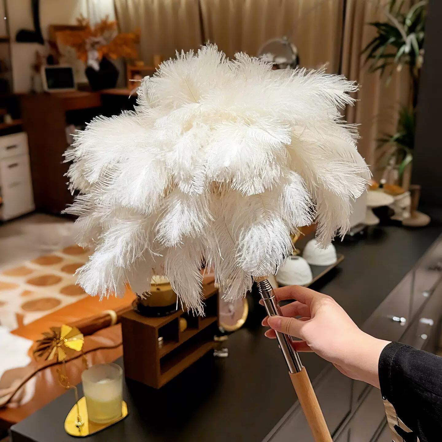 扫灰神器！鸡毛撢子鸵鸟毛静电除尘家用可伸缩加长柄缝隙清理工具