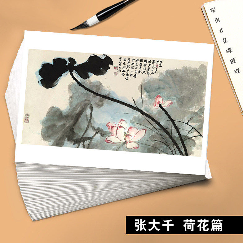 国画临摹卡张大千荷花篇中国花卉画绘画入门培训单片高清印刷32张铜版纸国风