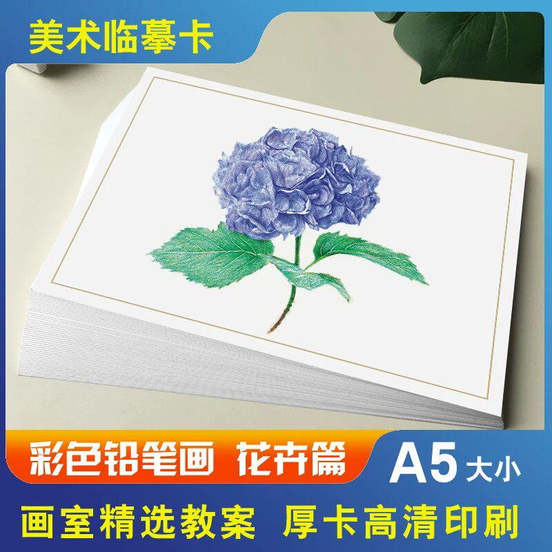 美术临摹卡彩色铅笔画花卉篇少儿美术培训教学高清原创40张彩铅画艺术临摹高清印刷花束A5大小